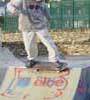 skateboard board images