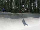 skateboard board images